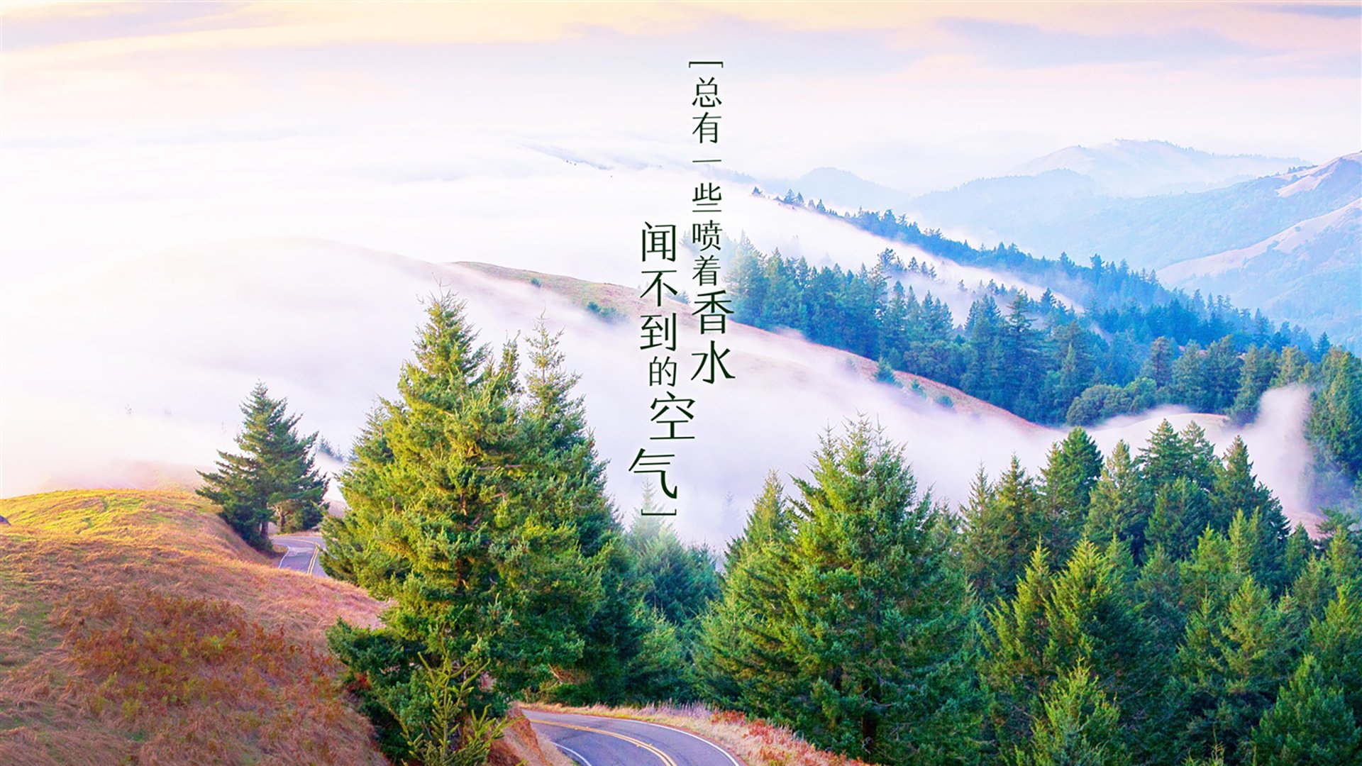 全国赛艇青少年组江西队奋勇争先，2020年全国赛艇青年锦标赛直播