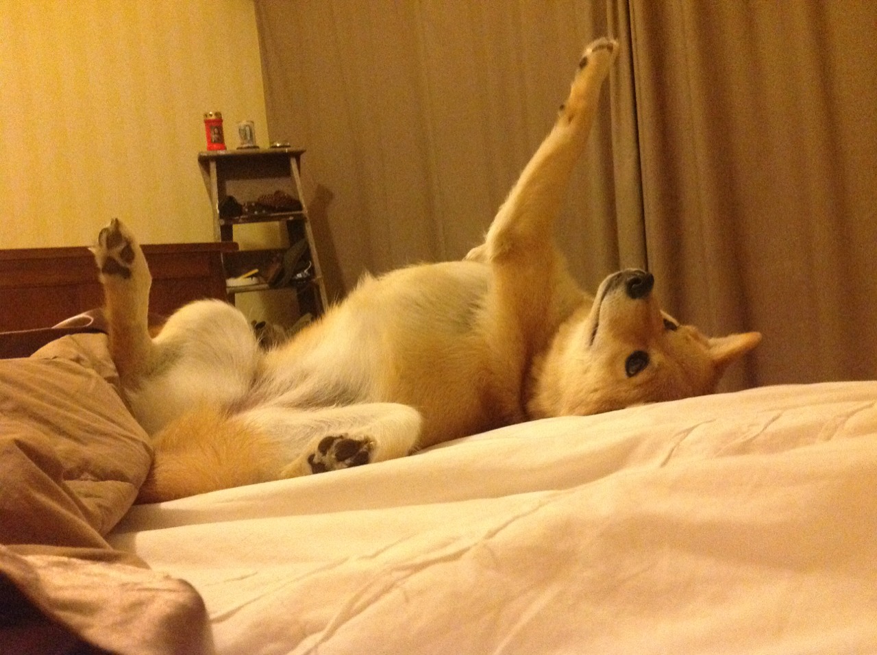 中美选手划频–划幅关系稳定性变化图