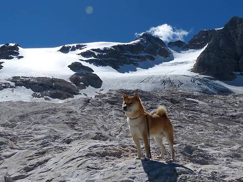 九游(jiuyou)官方网站-节奏变化能否打乱对手防守部署，节奏打击