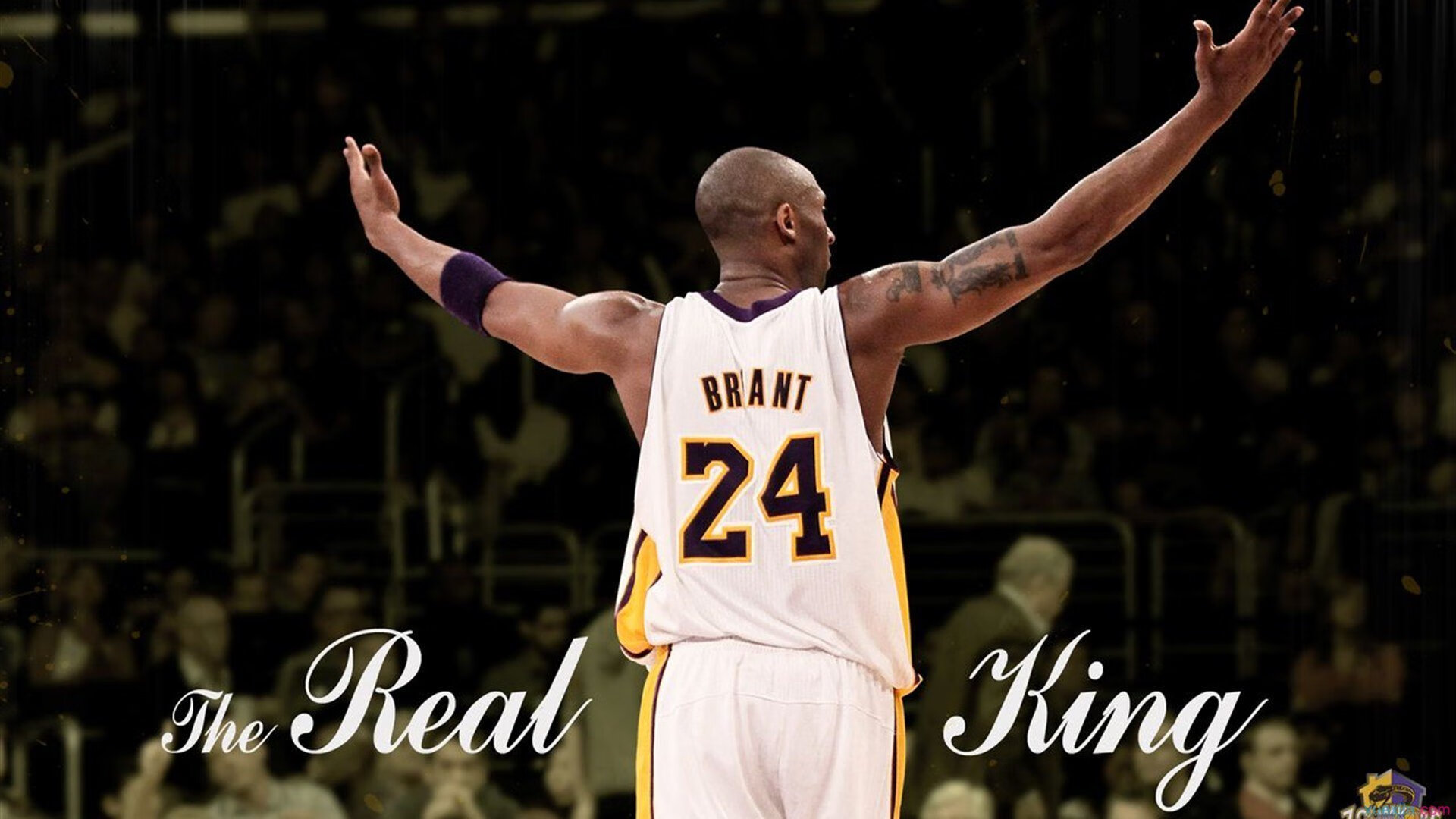 9游电竞资讯-战胜苦主后！申花还能在亚冠比赛战胜马来西亚土豪球队吗，申花参加亚冠